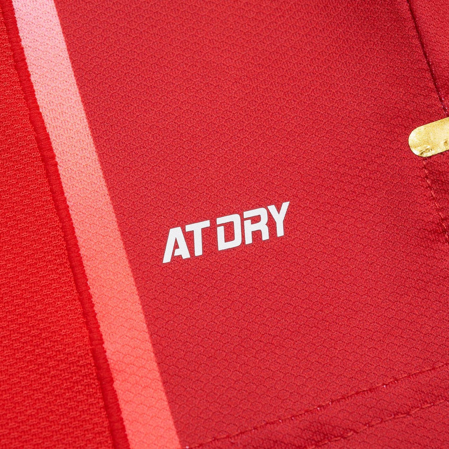 Tischtennis Herren National-Team Wettkampftrikot Cyber - rot - AAYT029-2